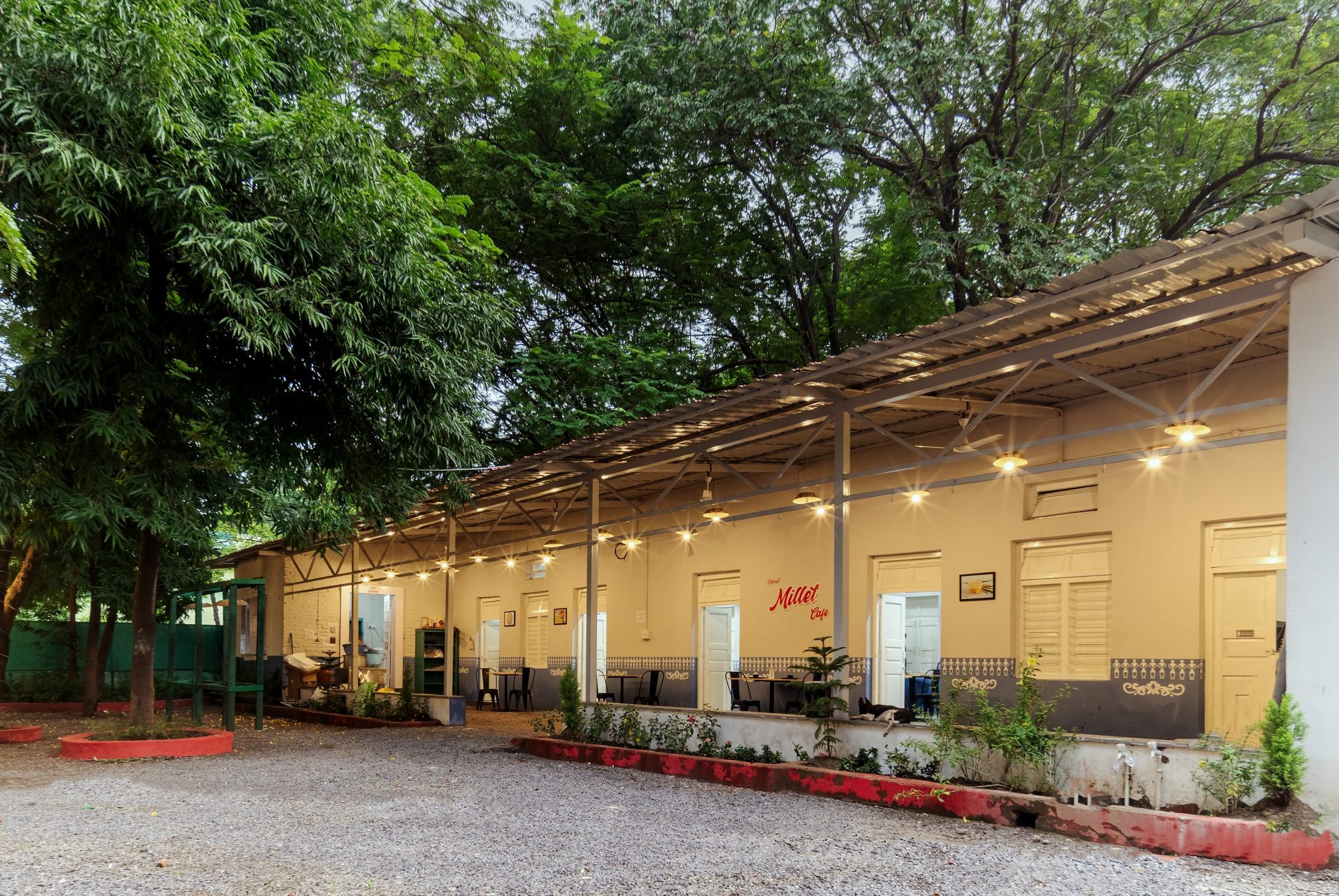 Millet Cafe 8